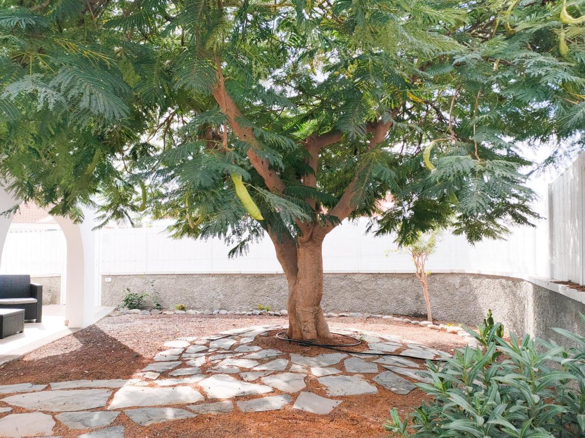 Pretty Terrace Holiday House In Maspalomas Плайя-дель-Інглес Екстер'єр фото